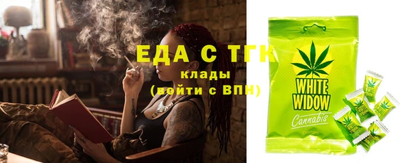тгк Дмитровск