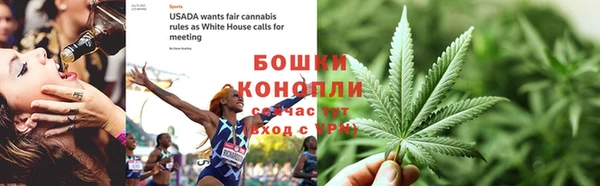 стафф Шали