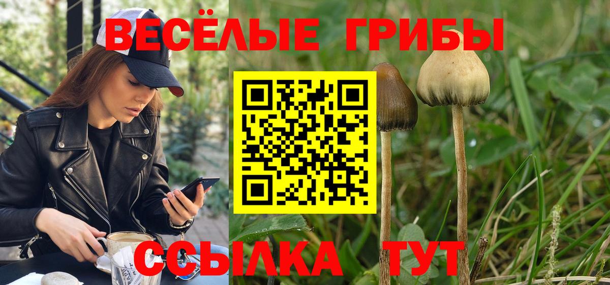 Галлюциногенные грибы прущие грибы  как найти закладки  Саяногорск  Вход с VPN 